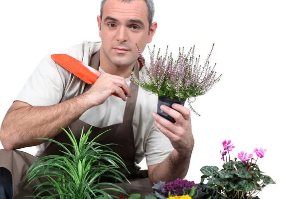 Man Bloementuin Met Bloemen — Stockfoto