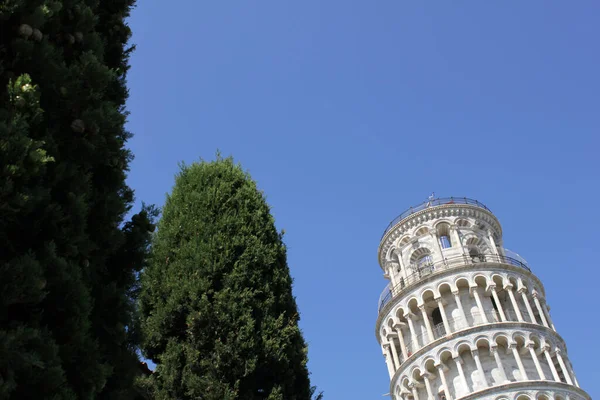 Lutande Torn Pisa Nästa Gröna Träd — Stockfoto