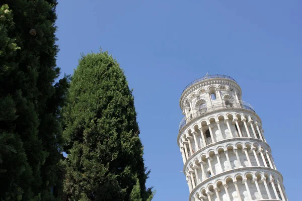Torre Ardósia Pisa Lado Árvore Verde — Fotografia de Stock