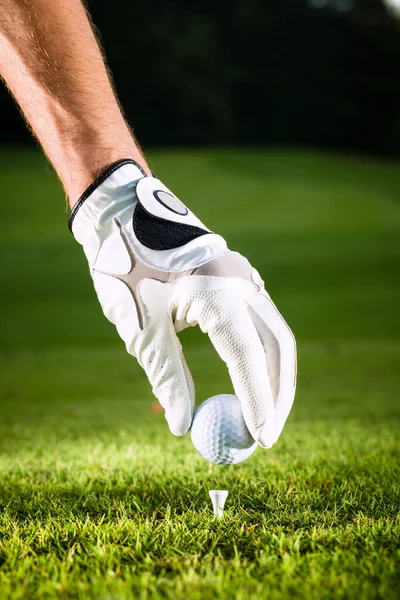 Mão Segurando Bola Golfe Campo Golfe Com Chá Close — Fotografia de Stock
