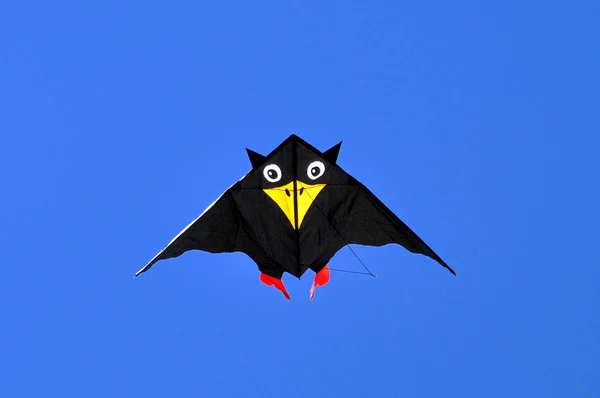 Murciélagos Voladores Sobre Cielo Azul —  Fotos de Stock