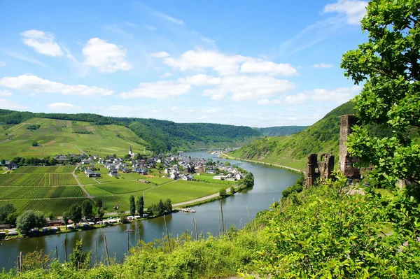 Valle Del Mosel Ellenz Poltersdorf Ruina Derecha Metternich —  Fotos de Stock