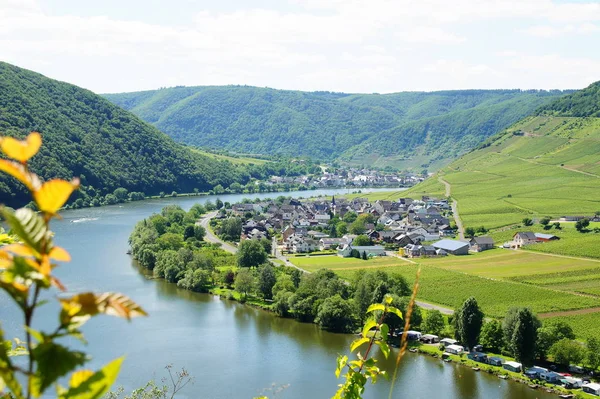 Poltersdorf Mosel Sommar — Stockfoto