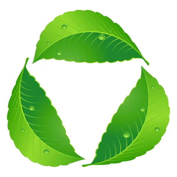 Symbol Des Recyclings Blatt Konzept Abbildung Auf Weiß — Stockfoto