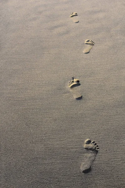 Пешеходные Дорожки Песчаном Пляже — стоковое фото