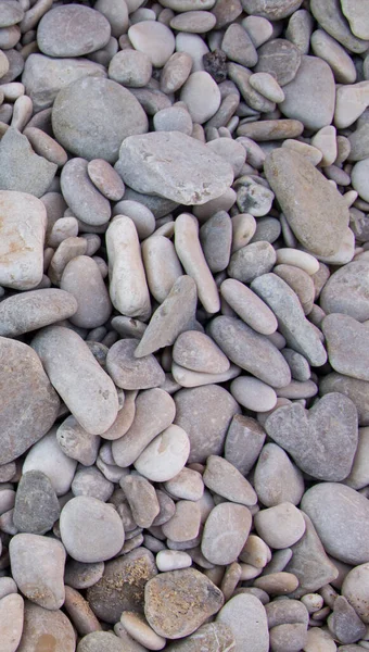 Piedras Piedras Rocosas Fondo Grava Rocosa — Foto de Stock