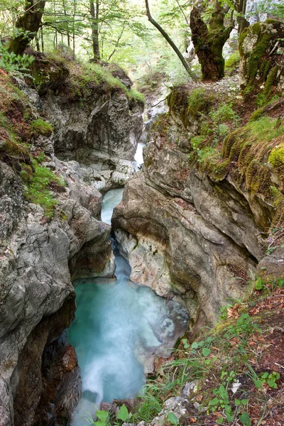 Canyon Ruisseau Moznica Nemclja Dans Parc National Triglav Slovénie — Photo