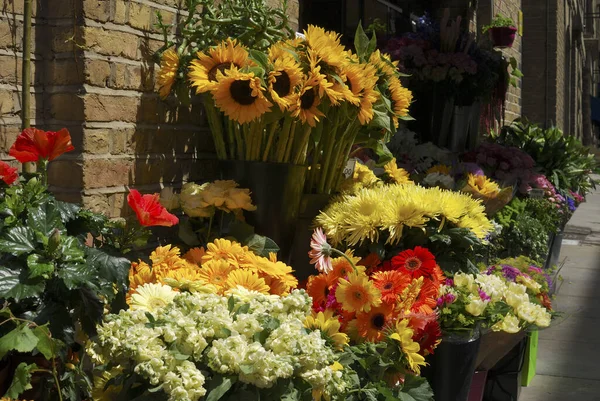 Display of cut flowers for sale outside florist shop near Tower Bridge. London. England