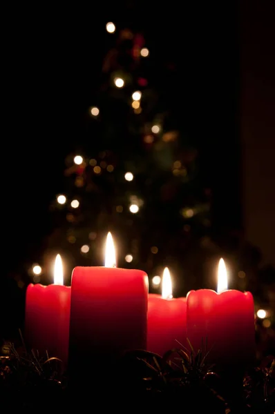 Kerst Advent Krans Met Rode Brandende Kaarsen Licht Mas Boom — Stockfoto