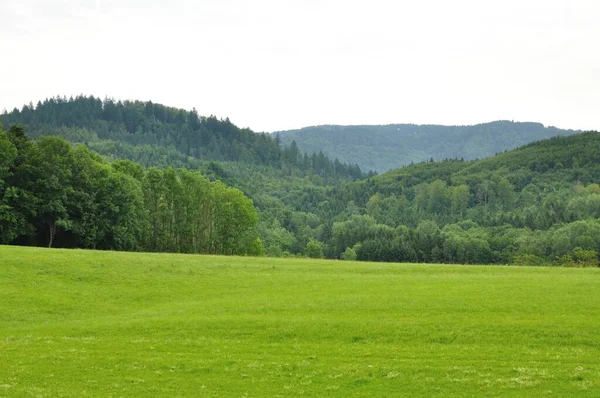 Táj Falu Szélén Déli Fekete Erdő Hasel — Stock Fotó