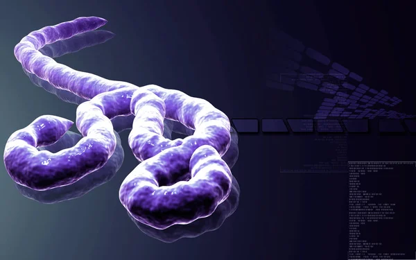 Ilustración Digital Del Virus Del Ébola Fondo Color — Foto de Stock