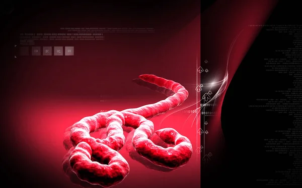 Цифрова Ілюстрація Вірусу Ебола — стокове фото