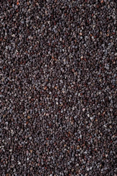 Мак Фон Зерна Цвет Зерна Пищевой Текстуры — стоковое фото
