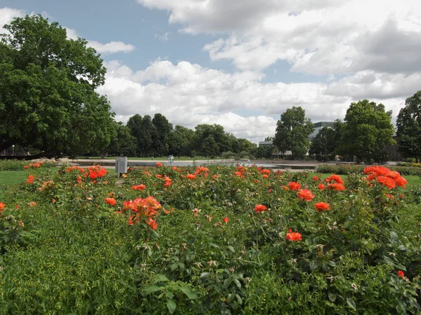 Parque Oberer Schlossgarten Stuttgart Alemania — Foto de Stock