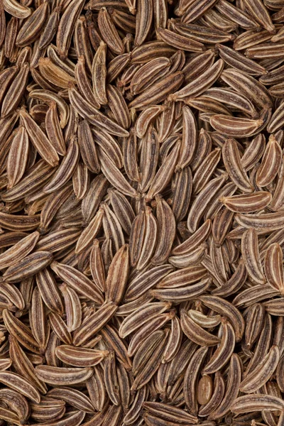 Karodová Semena Pozadí Curmin Fazole Organická Textura — Stock fotografie