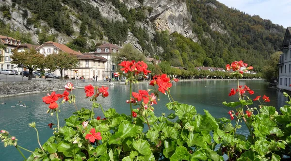 Vista Panorámica Del Hermoso Paisaje Los Alpes —  Fotos de Stock