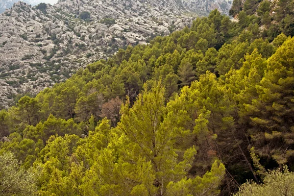 Indischer Sommer Der Serra Tramuntana Mallorca — Stockfoto