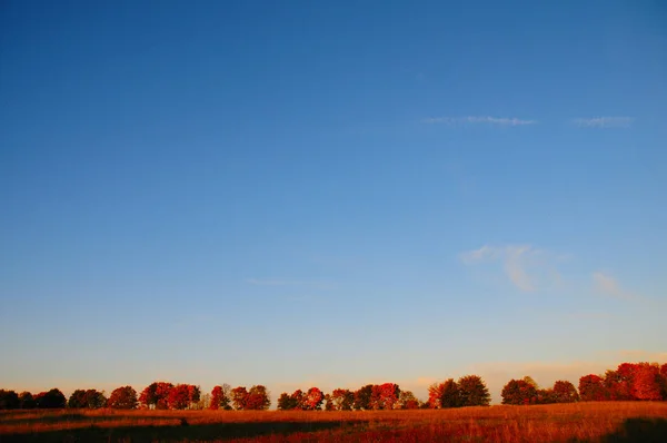 Clima Outono Com Céu Azul — Fotografia de Stock