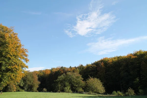 Ősz Réten — Stock Fotó