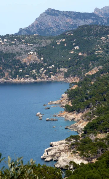 Mallorca Mayorka Spanya Nın Akdeniz Deki Balear Adalarından Biridir — Stok fotoğraf