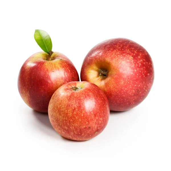 Tre Jonagold Äpplen Vit Bakgrund — Stockfoto