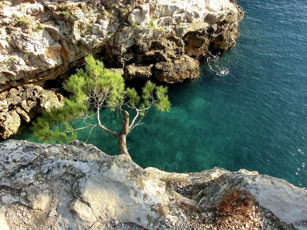 Istria Antiguamente Histria Península Más Grande Del Mar Adriático —  Fotos de Stock