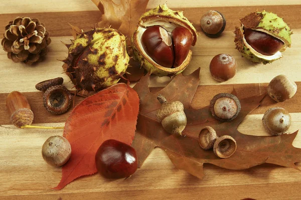 Chestnuts Acorns Wooden Background — Stock Photo, Image