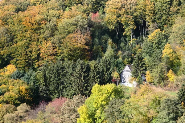 Dans Une Forêt Colorée Automne Est Bâtiment Résidentiel — Photo