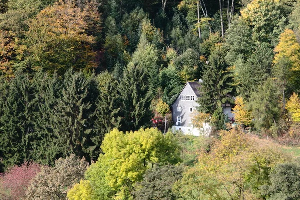 Höstfärgglad Skog Ett Bostadshus — Stockfoto