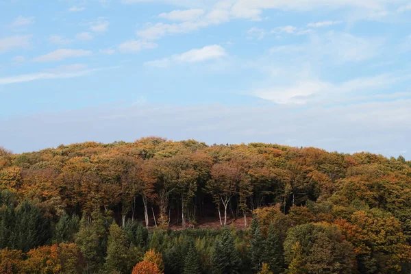 Sur Une Colline Dresse Une Forêt Automnale Colorée — Photo