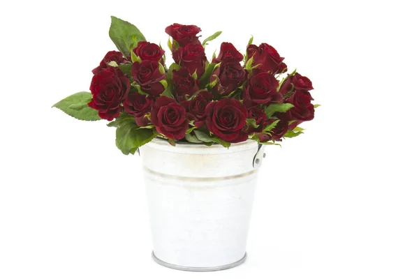 Rosas Rojas Cubo — Foto de Stock