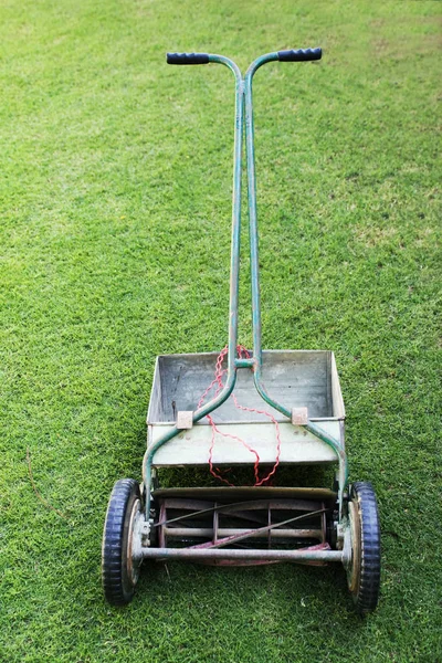 Carrito Golf Sobre Hierba Verde — Foto de Stock