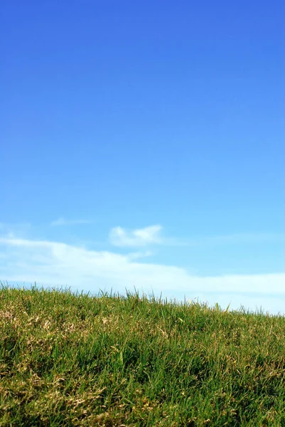 Green Grass Blue Sky White Clouds Vertical Image — Stock Photo, Image