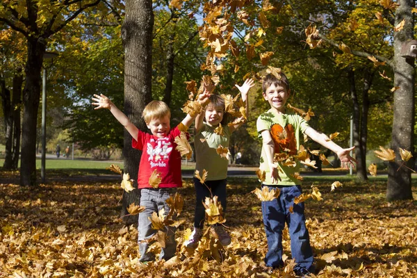 아이들 가을에 가지고 — 스톡 사진