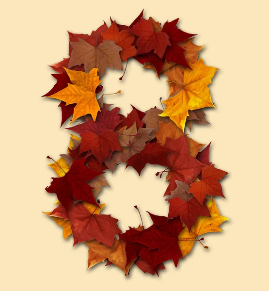 Number Drop Shadow Made Autumn Leaves Isolated Clipping Path You — Stock Photo, Image