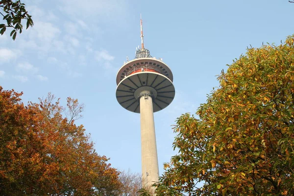 Edificio Berlin Alemania Europa — Foto de Stock