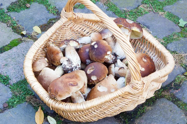 Primo Piano Del Cibo Attenzione Selettiva — Foto Stock