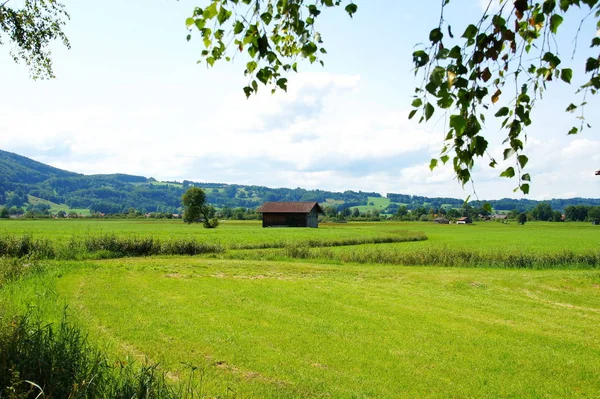 Grüne Landschaft Schlehdorf Kochelsee Bayern — Stockfoto