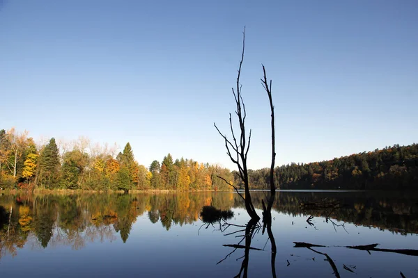 Piękny Widok Scenę Natury — Zdjęcie stockowe