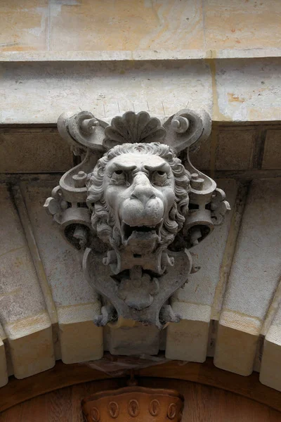 Löwenkopf Auf Der Burg Dresden — Stockfoto