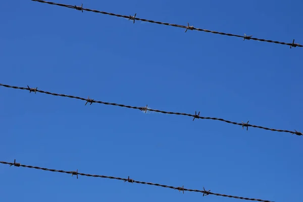 barbed triple flat with blue sky freedom