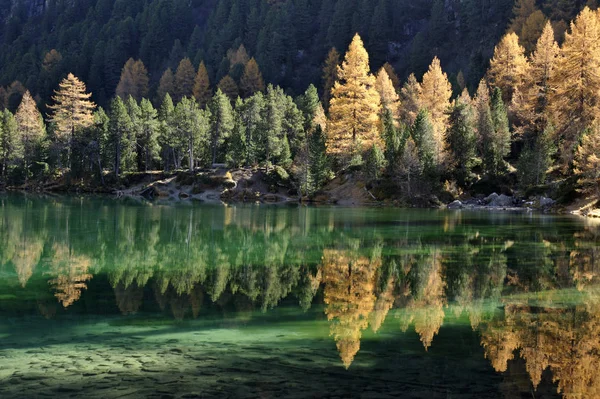 Reflejo Autumnal Lago — Foto de Stock