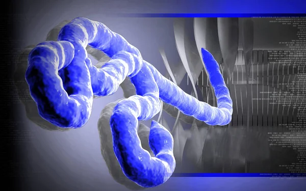 Digital Illustration Ebola Virus Colour Background — Stock Photo, Image