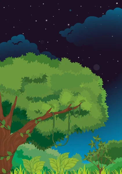 Illustratie Van Een Natuurachtergrond Nachts — Stockfoto