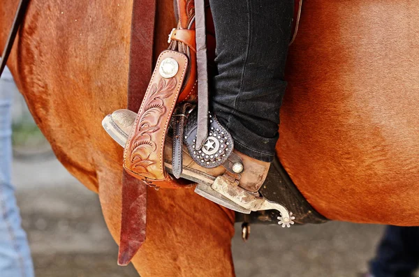 Horse Cowboy Pocket — Stock Photo, Image