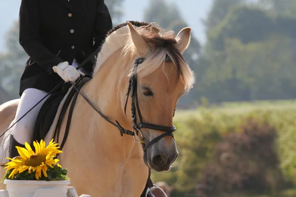 Schilderachtige Kijk Relatieconcept — Stockfoto