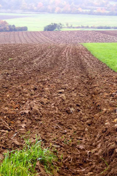 Agriculture Landscape Plowed Field Misty Day Autumn Saarland Germany — Stock Photo, Image