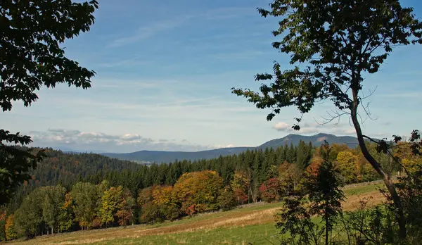 Vackra Färgglada Höst Lövverk — Stockfoto