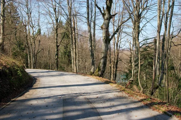 Floresta Outono Nos Lagos Plitvice Croácia — Fotografia de Stock