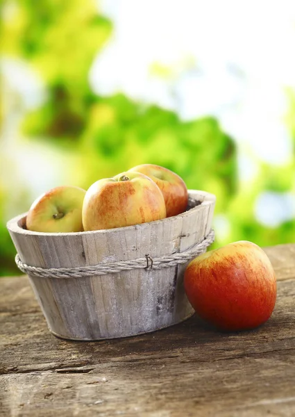 Freshly Picked Ripe Red Apples Rustic Wooden Tub Old Wooden — Stock Photo, Image